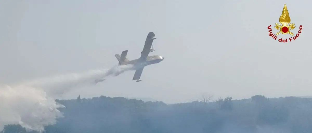 Gli incendi colpiscono il Vibonese: in volo due Canadair per domare le fiamme - Video