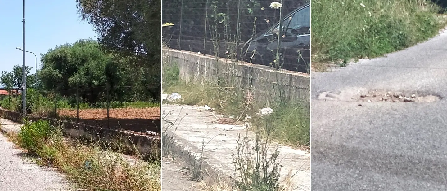 Vibo, quella periferia lasciata tra erbacce e degrado: «A contrada Vaccaro abbandonati da tutti»