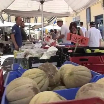 Il mercato di Vibo Marina trasloca in centro: partenza tra luci e ombre (VIDEO)