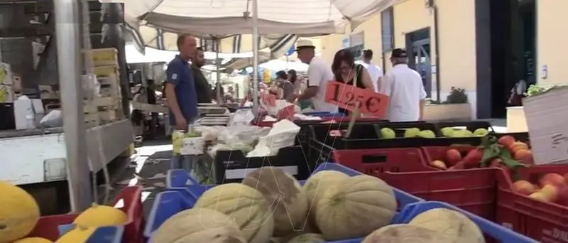 Il mercato di Vibo Marina trasloca in centro: partenza tra luci e ombre (VIDEO)