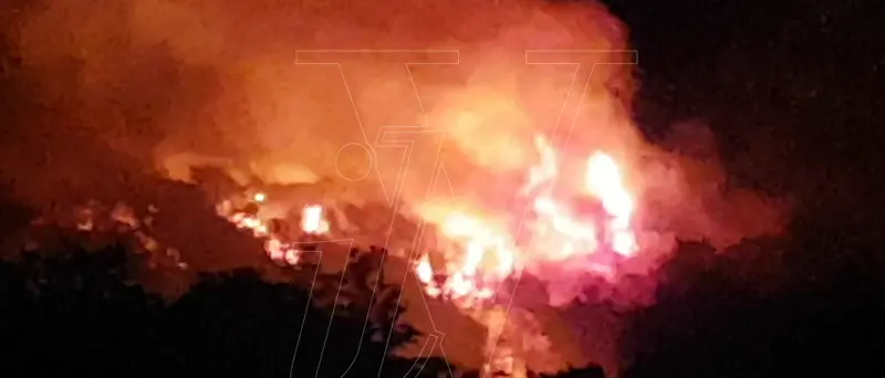 Auto e capannone agricolo in fiamme nel Vibonese