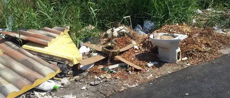 Rifiuti abbandonati a Briatico, il sindaco Niglia: «Abusi intollerabili»