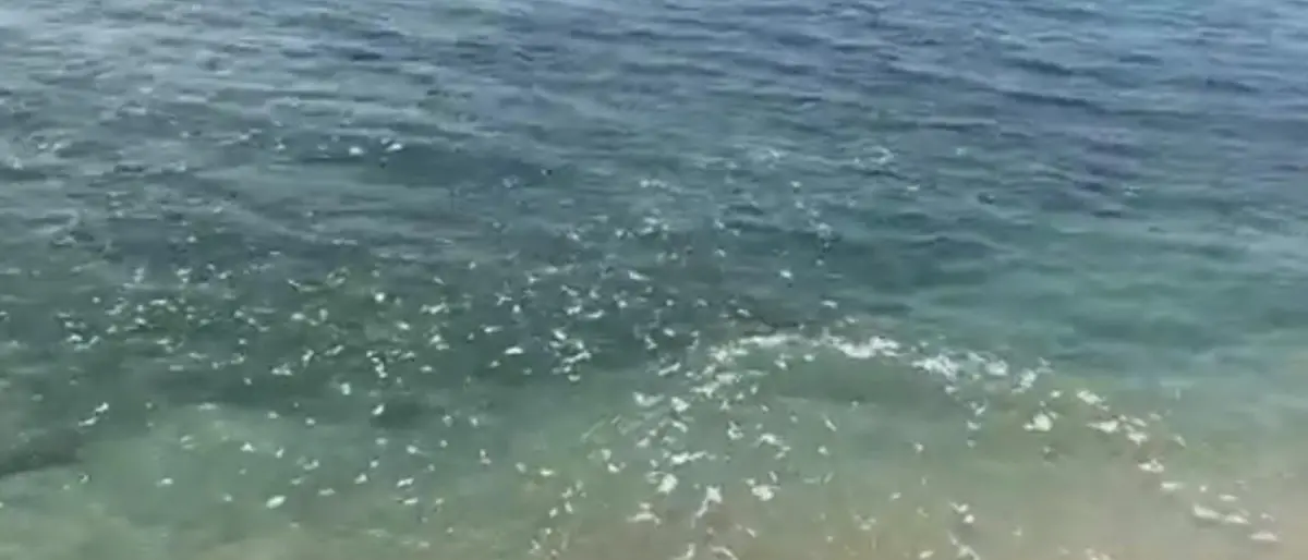 Pizzo: divieto di balneazione in uno specifico tratto di mare