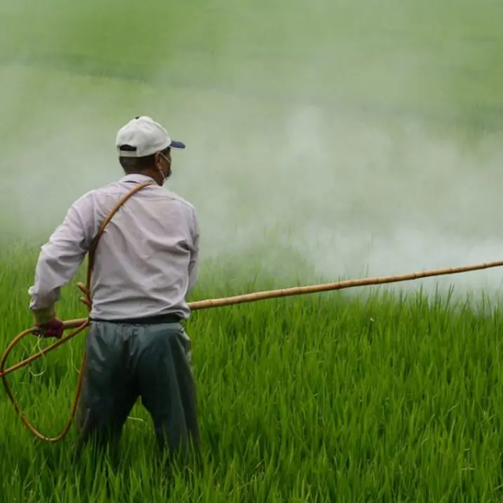 Agricoltura, il patentino fito-sanitario al centro di un incontro alla biblioteca di Filadelfia