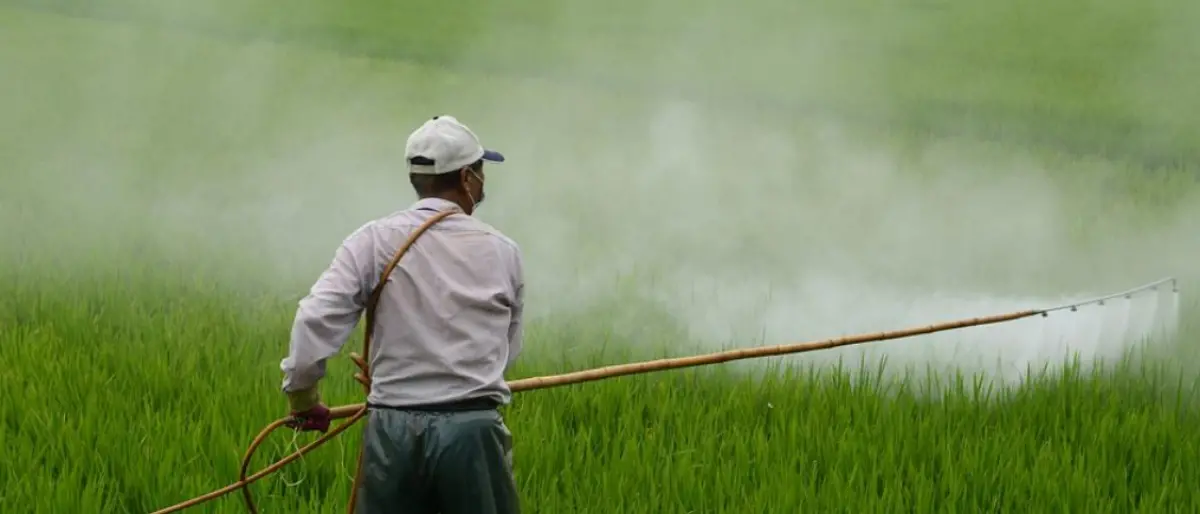 Agricoltura, il patentino fito-sanitario al centro di un incontro alla biblioteca di Filadelfia