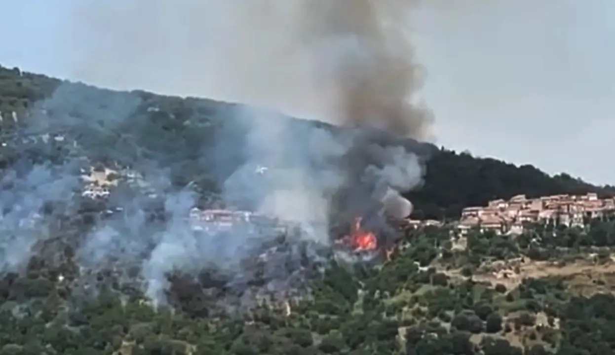 Incendio a Limbadi, le fiamme lambiscono la frazione Motta Filocastro - Video