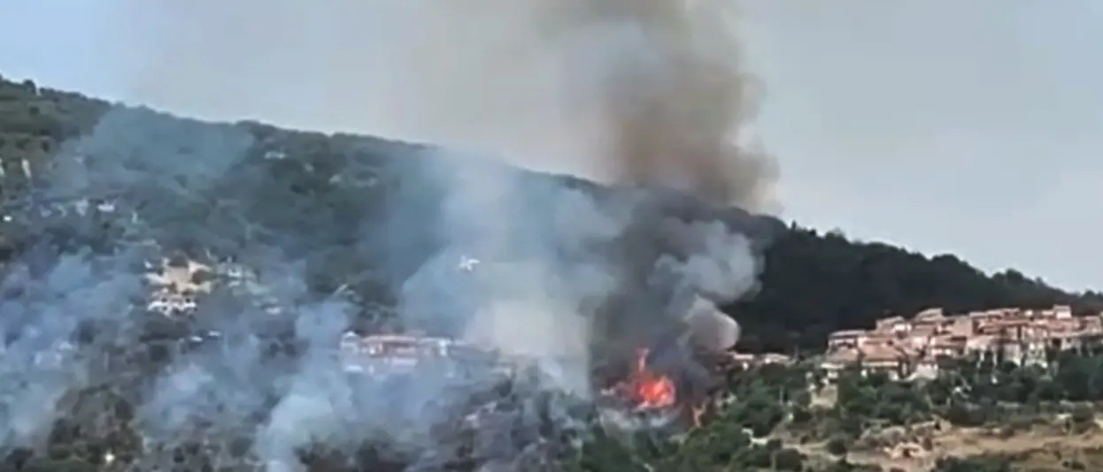 Incendio a Limbadi, le fiamme lambiscono la frazione Motta Filocastro - Video