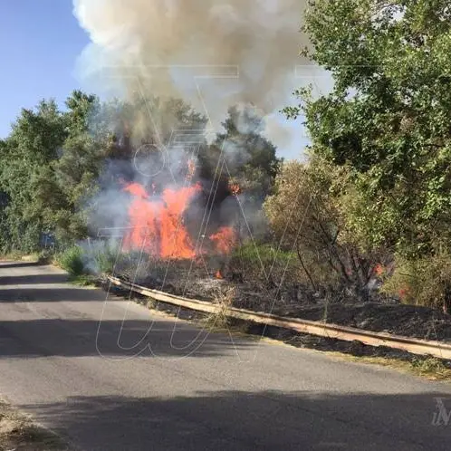 Emergenza incendi, dalla Flai-Cgil un plauso ai forestali calabresi