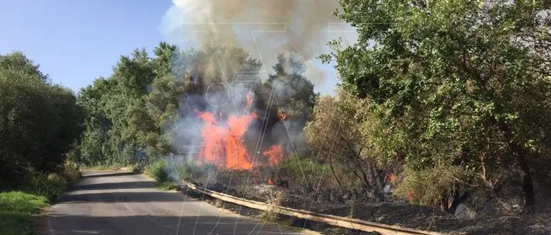 Emergenza incendi, dalla Flai-Cgil un plauso ai forestali calabresi