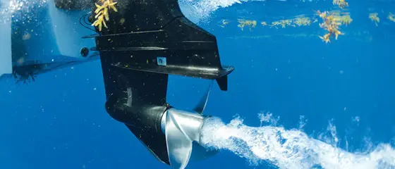 Capo Vaticano: turista romano ferito a mare dall’elica di un motoscafo