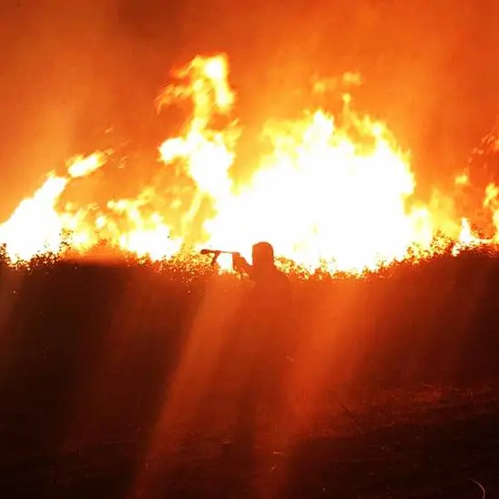 Emergenza incendi nel Vibonese, “superlavoro” per i Vigili del fuoco