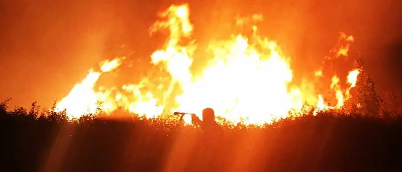 Emergenza incendi nel Vibonese, “superlavoro” per i Vigili del fuoco