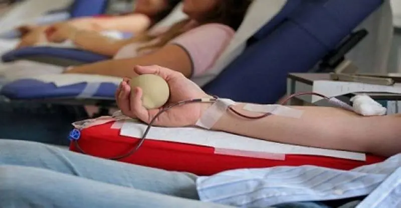 “Politici, donate il sangue anziché succhiarlo”: la trovata dell’Avis di Vibo per incentivare i prelievi