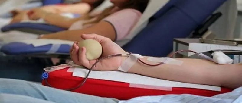 “Politici, donate il sangue anziché succhiarlo”: la trovata dell’Avis di Vibo per incentivare i prelievi