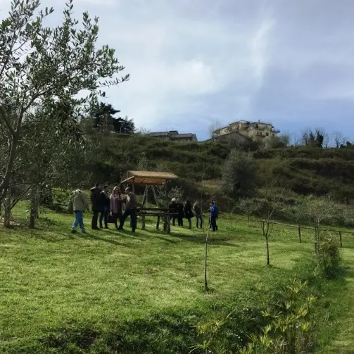 A Vibo l’“Agri cool tour Festival”, Francesca Incudine si esibisce nella fattoria “Junceum”