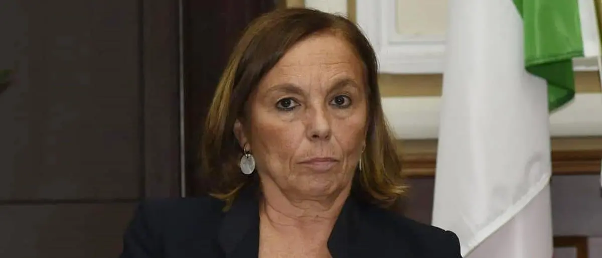 Provincia di Vibo e accesso agli atti, il ministro dell’Interno: «Seguiamo attentamente»