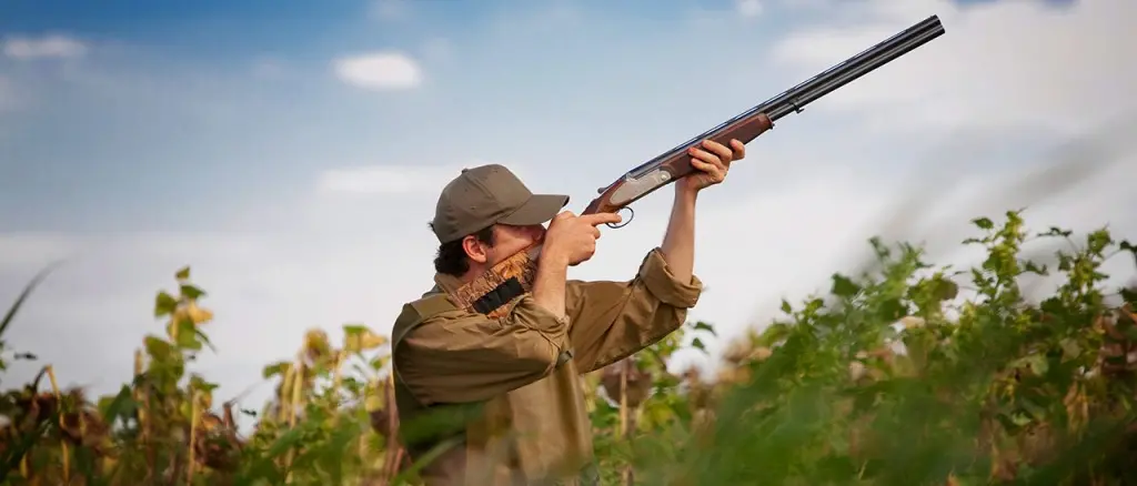 Caccia, Viscomi replica a Barilaro: «Priorità proteggere natura già distrutta da incendi»