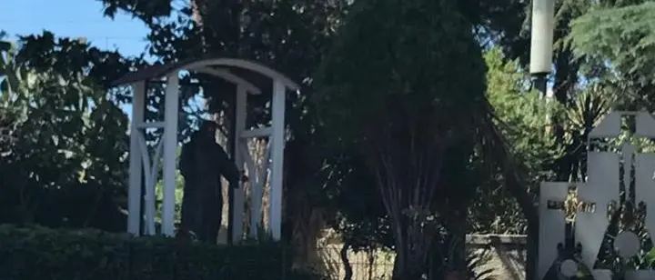 Rifiuti ed erbacce in molti angoli della città: “cartoline” da Vibo Valentia (FOTO)