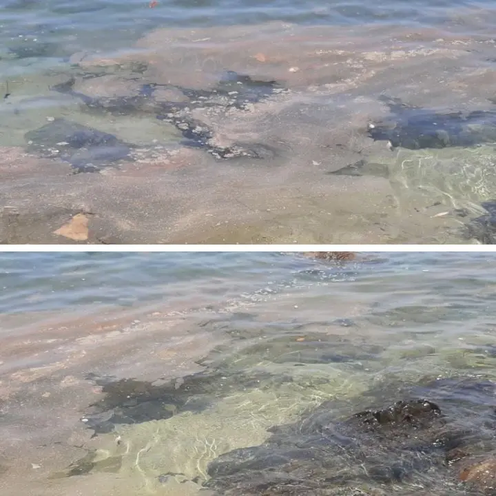 Mare sporco a Vibo Marina, la segnalazione degli utenti