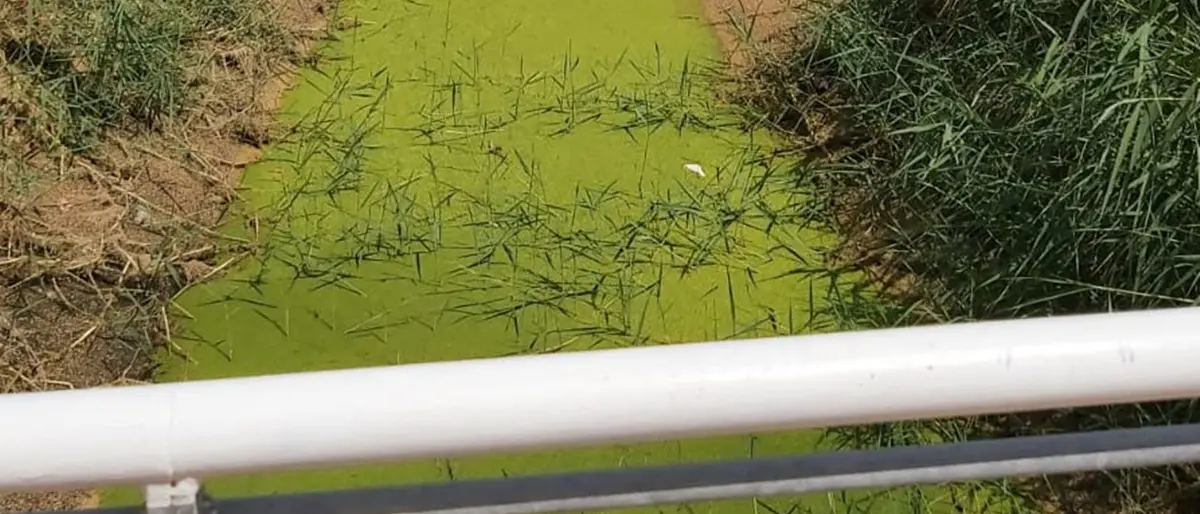 Vibo Marina, il torrente Antonucci preoccupa sempre il M5S: «È l'emblema dell'inquinamento»