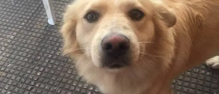 Zungri, sport e sensibilizzazione con “Pedaliamo per Billy”