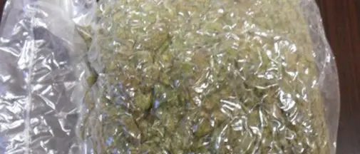 Marijuana nel fienile, arrestato e scarcerato 27enne a Briatico