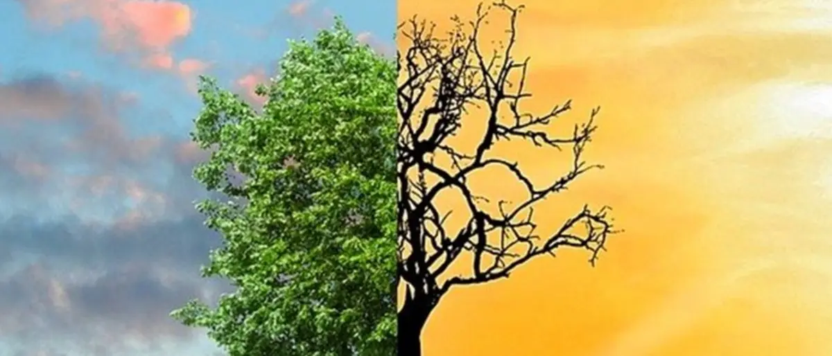 A Parghelia si parla di difesa del mare, della natura e dei diritti degli animali