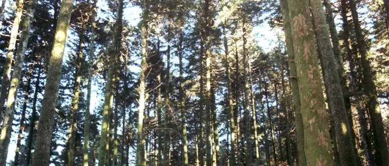 Trekking, aperte le iscrizioni per il “Kalabria coast to coast”