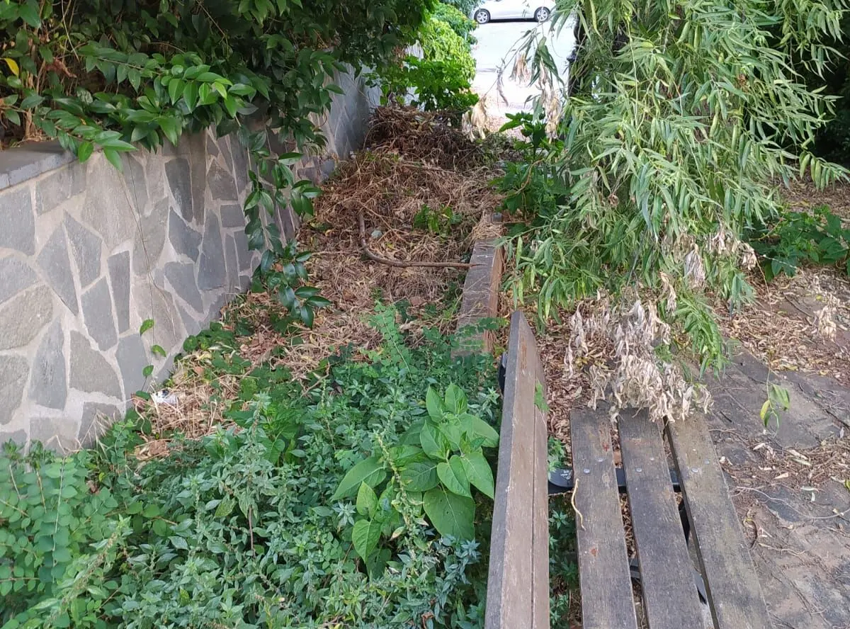 Vibo: centro storico, piazza Terranova e scesa Carmine nell’abbandono, la denuncia di \"Azione\"