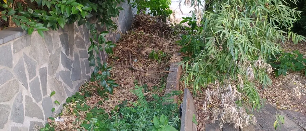 Vibo: centro storico, piazza Terranova e scesa Carmine nell’abbandono, la denuncia di \"Azione\"