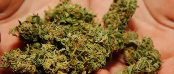 Detenzione di marijuana: resta in carcere 50enne di Spilinga