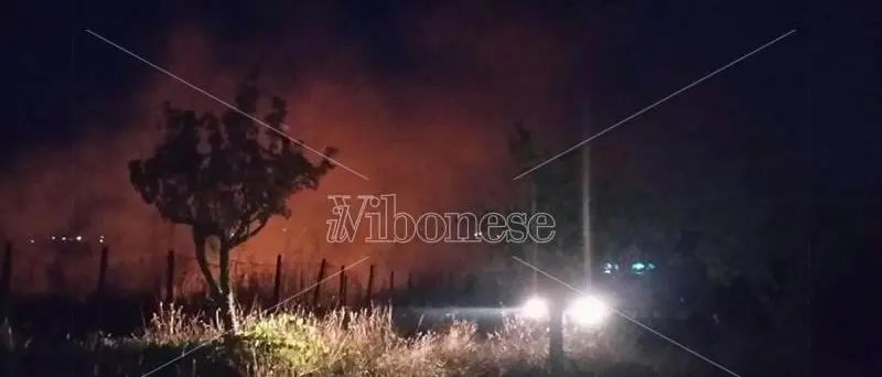 Vasto incendio fra Vibo e Vena Superiore, intervento dei vigili del fuoco