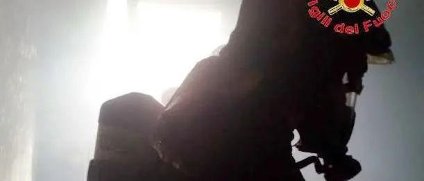 Risolto il mistero della collezione scomparsa: i reperti preistorici di Vibo sono finiti a Lamezia