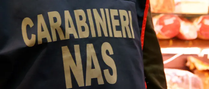 Controlli a tappeto dei carabinieri di Vibo, denunciate sei persone