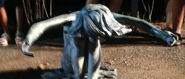 Statua nel Lago Angitola, arrivano le prime certezze da carabinieri e Soprintendenza (VIDEO)