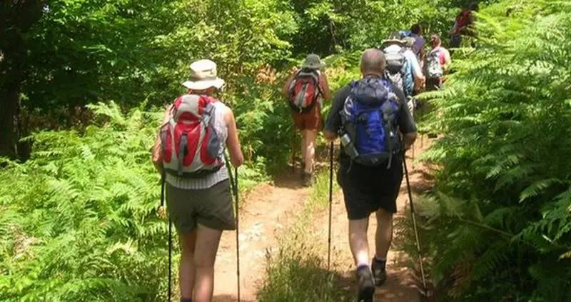 Rombiolo, tutto pronto per l’iniziativa “Trekking sul Poro. Passeggiata tra i campi di grano”