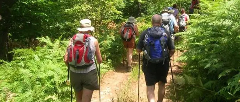 Rombiolo, tutto pronto per l’iniziativa “Trekking sul Poro. Passeggiata tra i campi di grano”