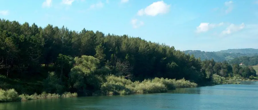 Lago Angitola, Kalabria Trekking traccia il “Sentiero degli aironi”