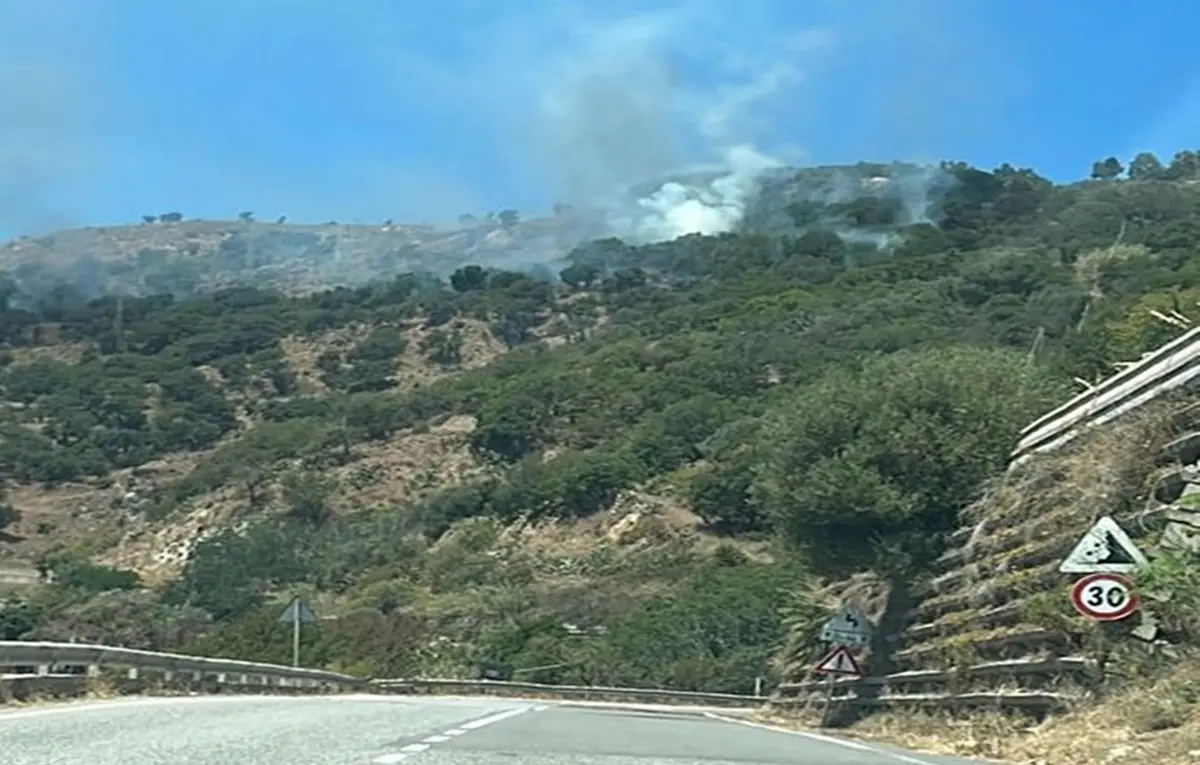 Strada del Mare: criminali in azione con incendi mentre c'è chi pensa a riasfaltare alla meno peggio