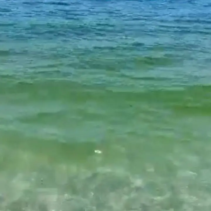 Pizzo, un turista: «Mare di colore giallo che poi nel pomeriggio diventa sporco» - Video