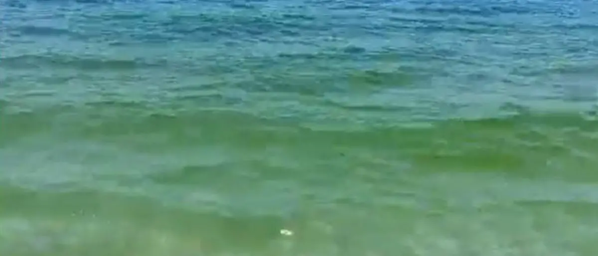 Pizzo, un turista: «Mare di colore giallo che poi nel pomeriggio diventa sporco» - Video