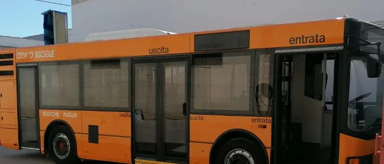 Da Limbadi attivati due servizi navetta, di cui uno per Nicotera Marina