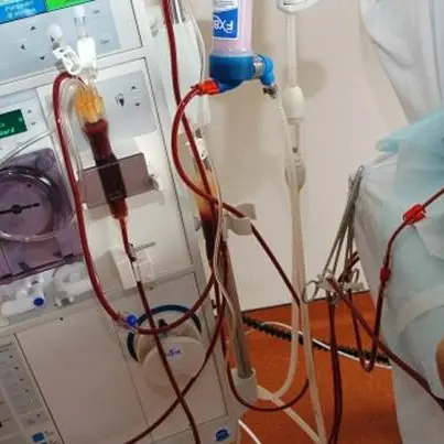 Concorso per Nefrologia Vibo: ecco i componenti della commissione esaminatrice