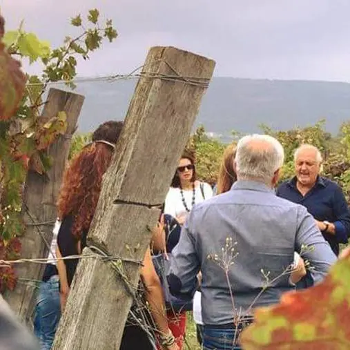 A Brattirò la vendemmia è festa: tra cultura, degustazioni e balli