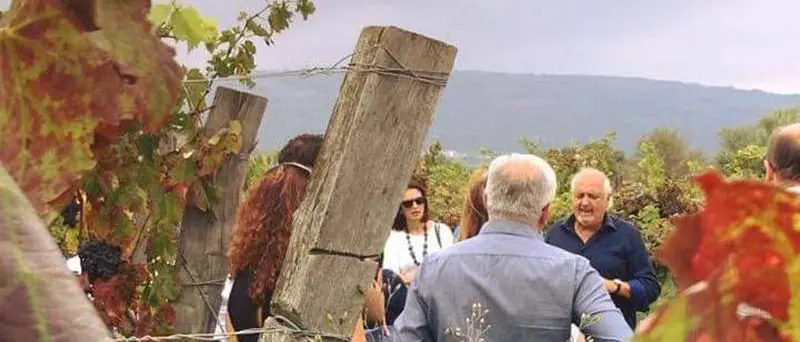 A Brattirò la vendemmia è festa: tra cultura, degustazioni e balli