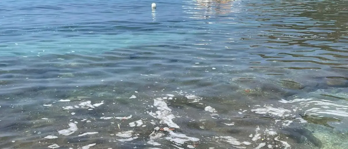 Capo Vaticano: mare sporco a Santa Maria e al Tono, il Pd chiede spiegazioni al sindaco