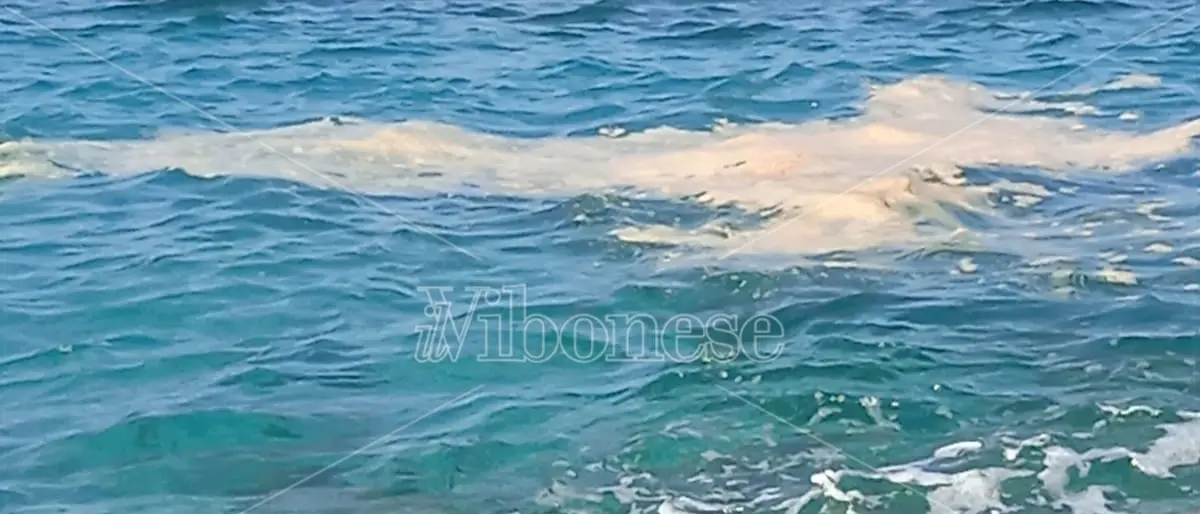 Depurazione e mare pulito: ecco il nuovo piano varato dalla Regione Calabria