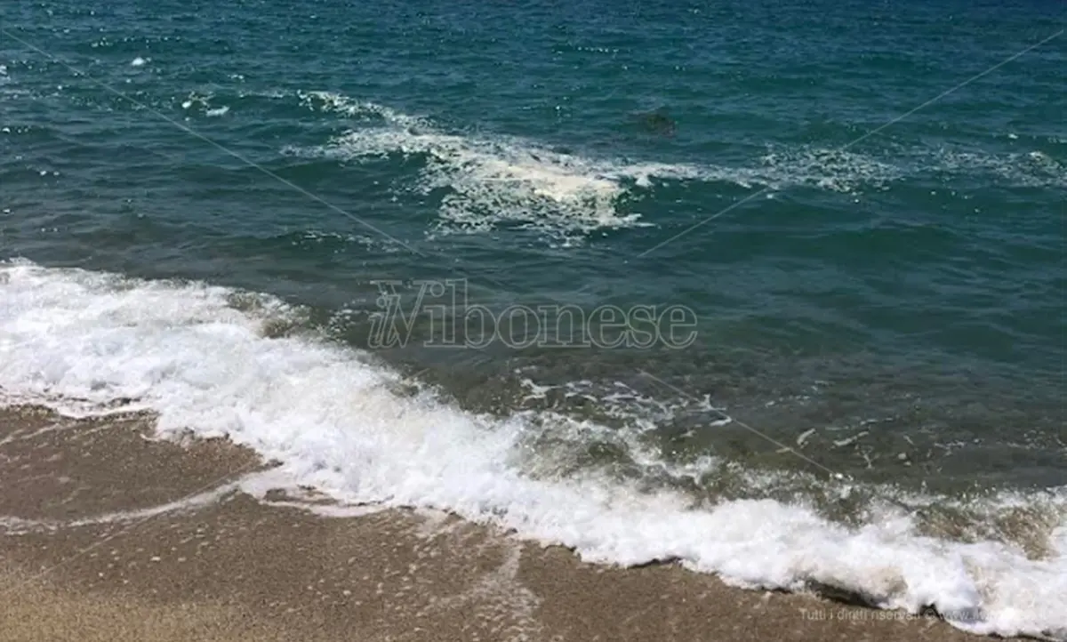 Chiazze in mare (anche) a Pizzo: il sindaco Pititto corre ai ripari - Video