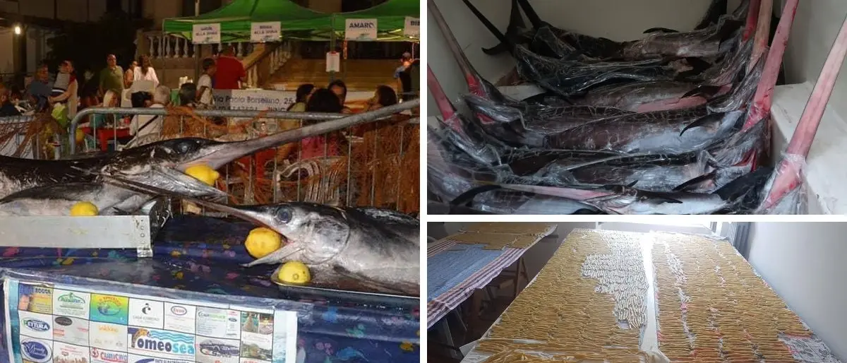 Piatti tradizionali, musica e solidarietà: a Favelloni torna la Sagra del pesce spada