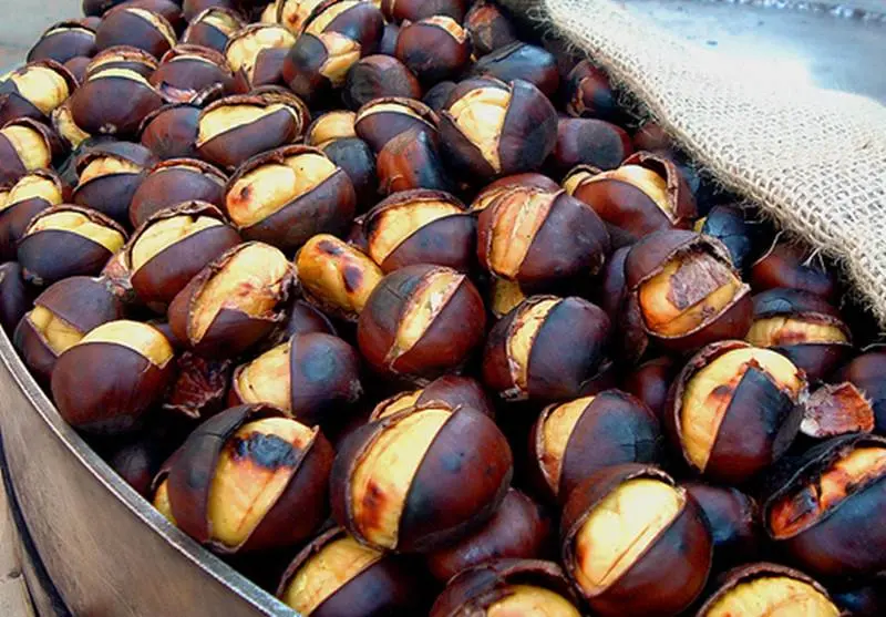Agroalimentare: successo per la festa della castagna a Davoli